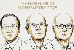 Przyznano nagrodę Nobla z chemii. Znamy nazwiska laureatów