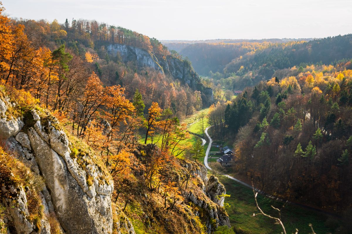 Ojcowski Park Narodowy jesienią wygląda zjawiskowo 