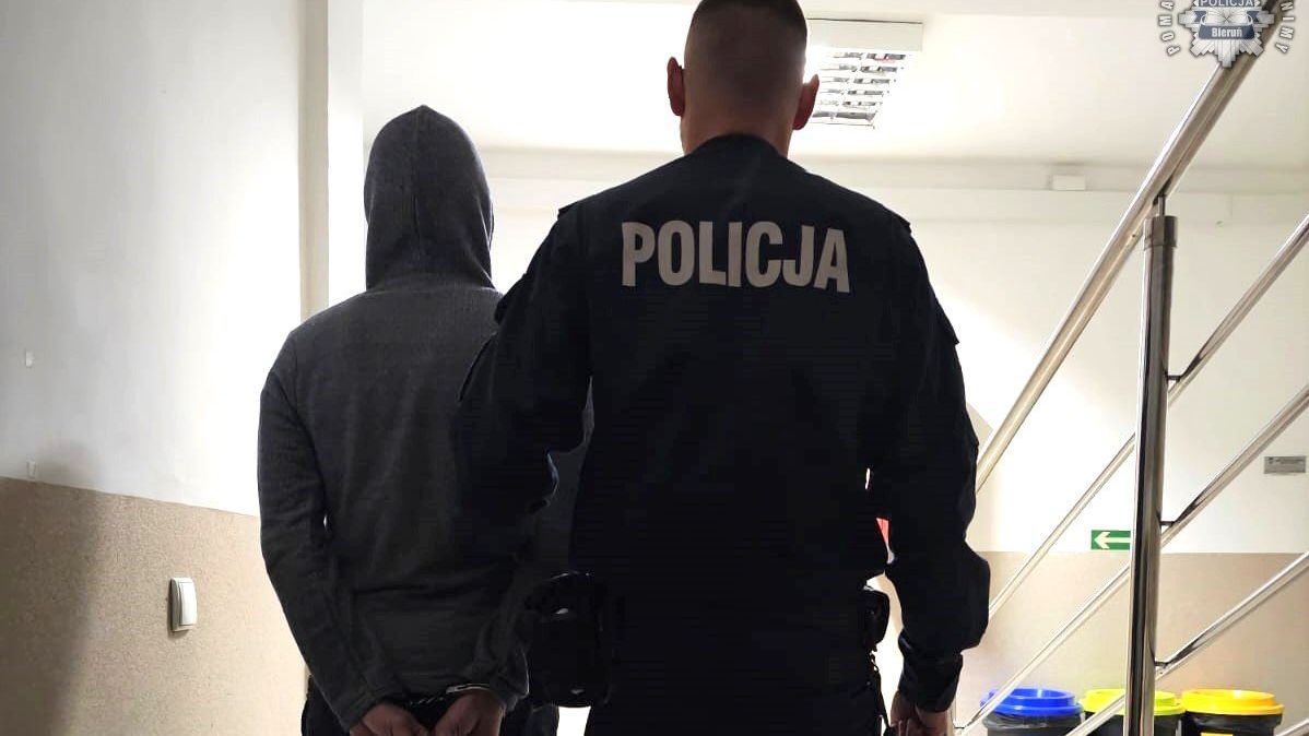 policja