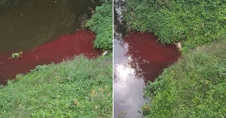Do rzeki Krzna wpływa brunatna substancja. WIOŚ pobrał próbki wody