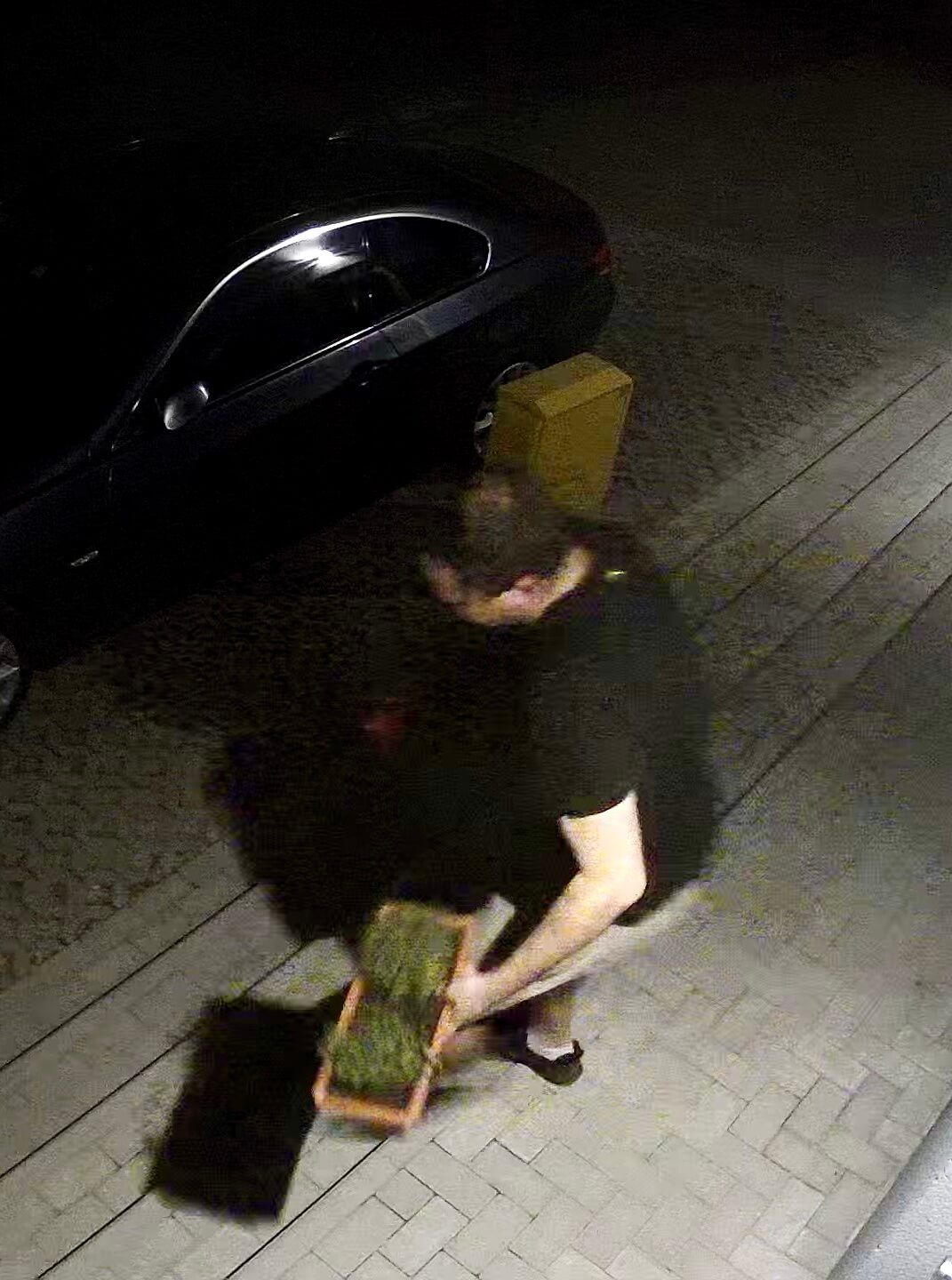 Ukradł doniczki z kwiatami sprzed dom