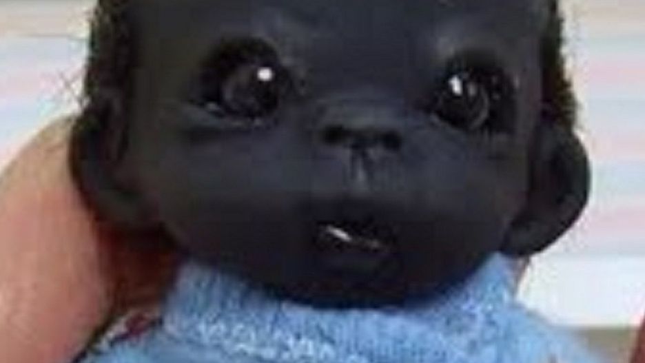 Przez długi czas pojawiało się wiele teorii dotyczących dziecka o ciemnej karnacji