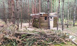 Zaskakujące odkrycie w lesie. Szałasy i ziemianki. Apel leśników