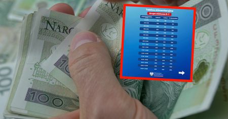 Tabela alimentacyjna rozpętała burzę. "Nie będą w stanie za to przeżyć"