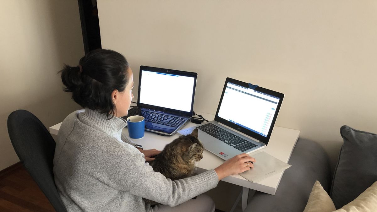 Microsoft Teams zyskał prawie 40 proc. użytkowników w tydzień, fot. akak/East News/East News