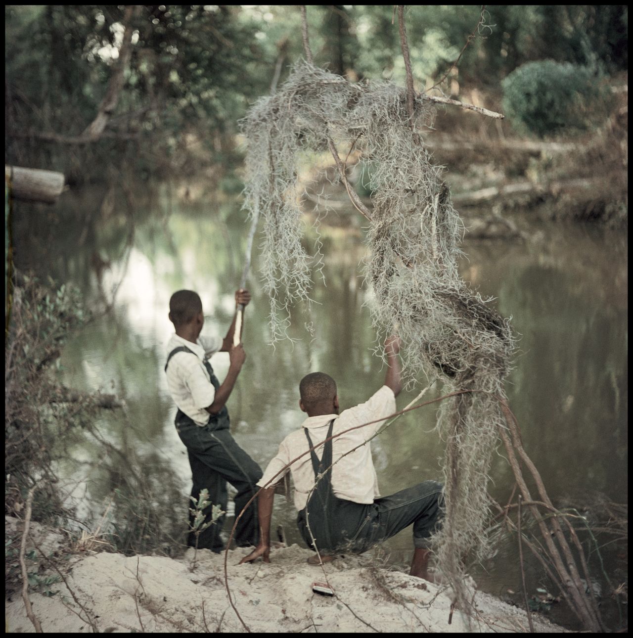 Bez tytułu, Shady Grove, Alabama, 1956, z reportażu Segregacja