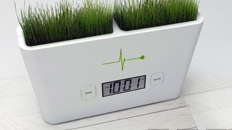 Ziemia i trawa godzinę Ci powie 1