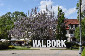 Strefa handlowo-usługowa w centrum Malborka. Urząd Miasta chce stworzyć miejsce dla mieszkańców i turystów