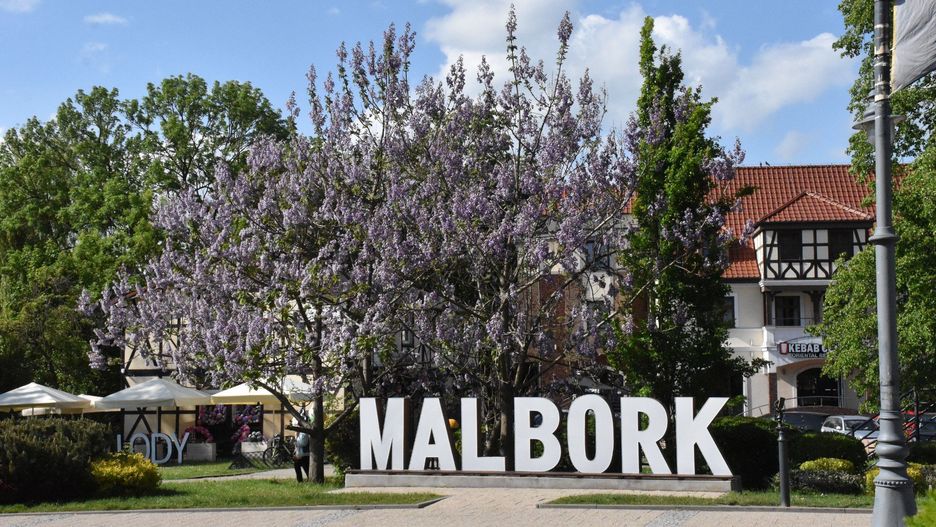 Miejsce w centrum Malborka do wynajęcia na handel i usługi