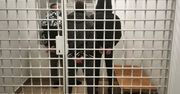 Mrągowo: Trzej mężczyźni idący poboczem okazali się poszukiwani