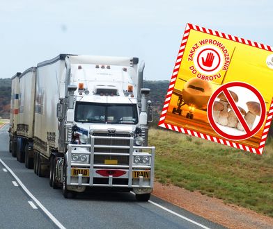 Służby zatrzymały transport borowików. Odrażające odkrycie