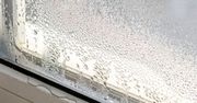 Połóż na parapecie. Zapomnisz o "spoconych" oknach