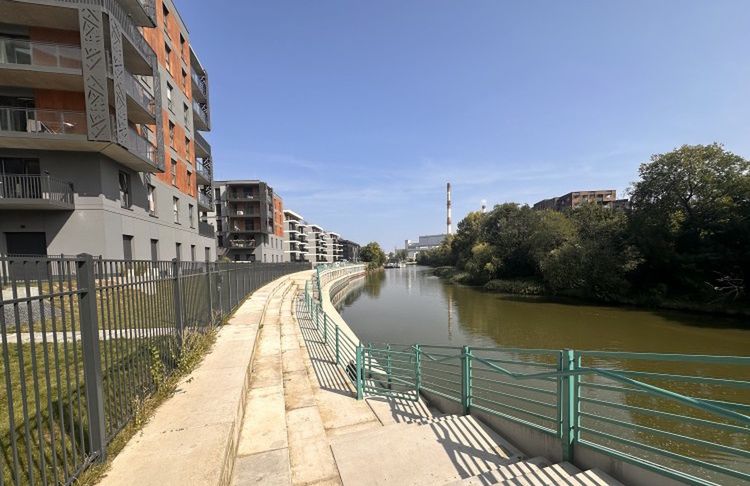 Patopromenada nad Odrą we Wrocławiu. Ledwo można nią przejść