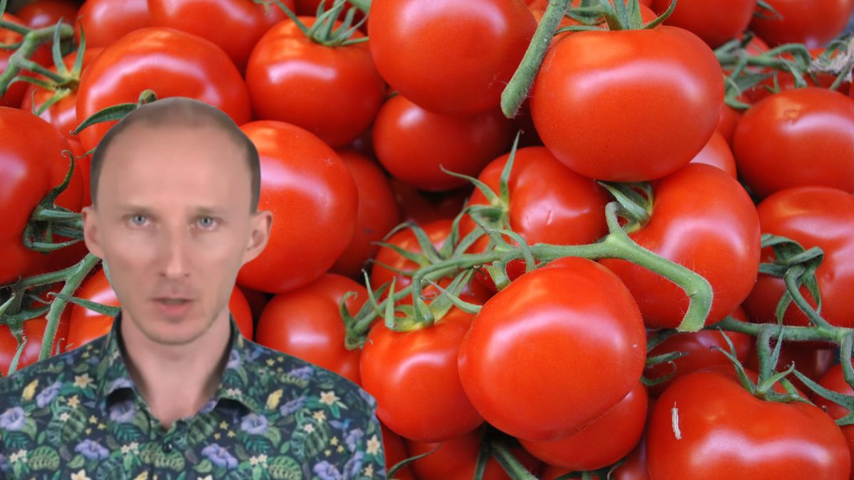 Dietetyk poleca jeść pomidory z pewnym dodatkiem