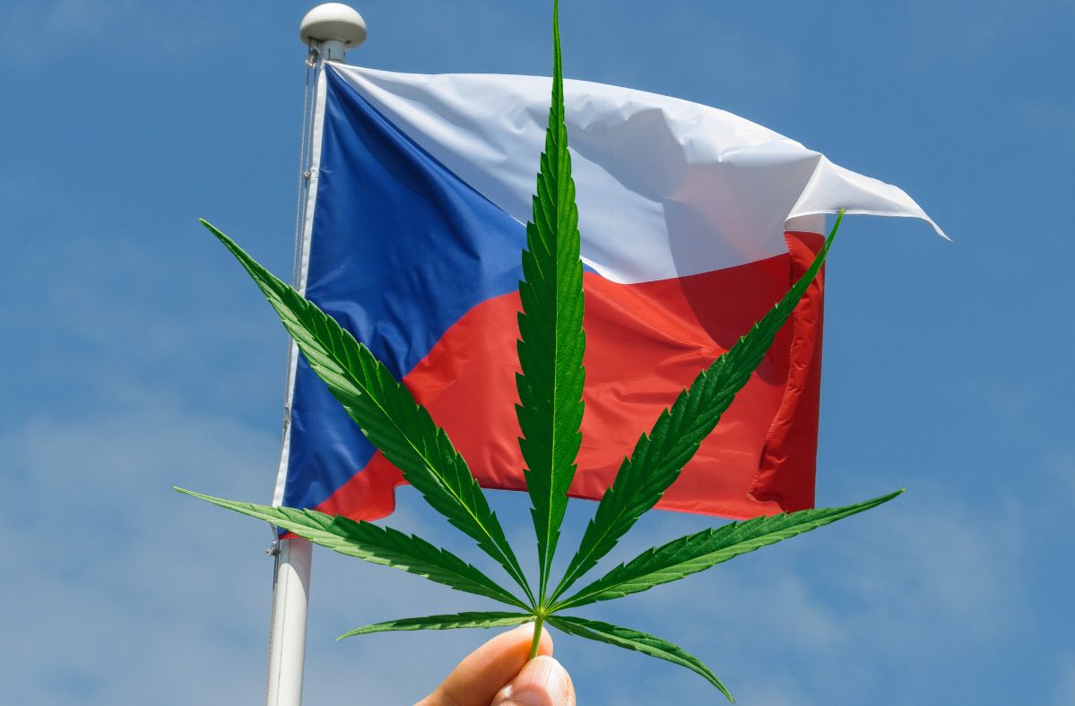 Czech Republic moves towards legalising personal cannabis cultivation