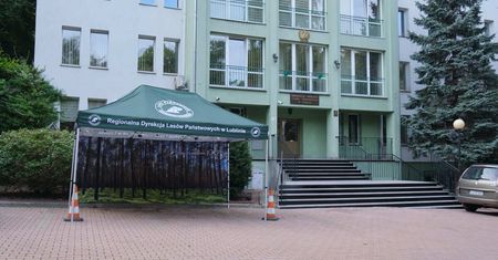 Duże zainteresowanie darmowymi sadzonkami w Lublinie. Będą je rozdawać także we wtorek