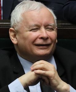 Jarosław Kaczyński wejdzie do rządu? "Czeka nas jazda bez trzymanki"