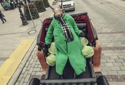 Byk w zielonym płaszczu na ulicach Warszawy!