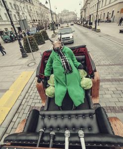 Byk w zielonym płaszczu na ulicach Warszawy!