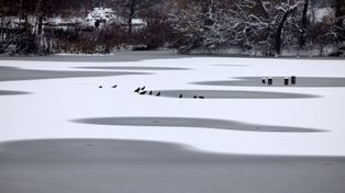 Alert IMGW dla województwa śląskiego. Były intensywne opady śniegu, będą roztopy i gołoledź