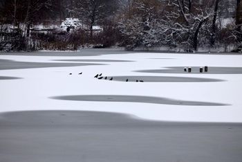 Alert IMGW dla województwa śląskiego. Były intensywne opady śniegu, będą roztopy i gołoledź