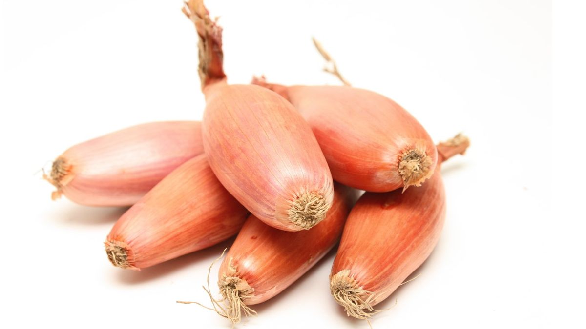 Szalotka, znana jako czosnek askaloński, cebula szalotka czy cebuloczosnek, to gatunek warzywnej byliny z rodziny amarylkowatych.