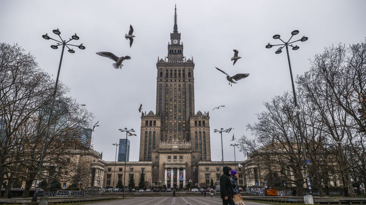 Seagulls flying near the Palace of Culture and Science (PKiN) in Warsaw, Poland on January 19, 2023. The building, designed by Soviet-Russian architect Lev Rudnev in Socialist realism style, is the most symbolic landmark in Warsaw. The palace is a gift from the Soviet Union to the people of Poland. Construction started in 1952 and took three years. With a total height of 237 metres it is the second tallest building in both Warsaw and Poland . (Photo by Beata Zawrzel/NurPhoto via Getty Images)