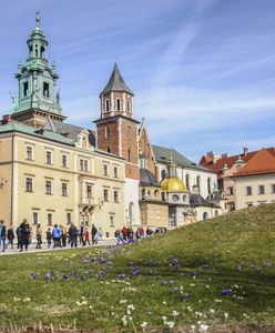 Horrendalne ceny biletów na Wawel. Zagotowało się w sieci