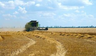 Ukraińscy rolnicy na linii frontu. "Po raz pierwszy w historii nie możemy się go pozbyć"