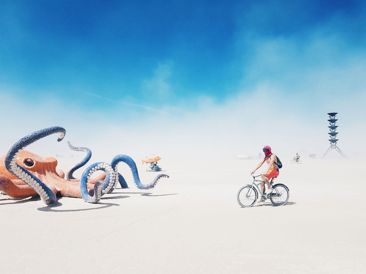 14. Smithsonian Annual Photo Contest zachwyca świetnymi zdjęciami zwycięzców 8