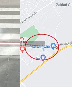 Kuriozalne przejście drogowe. Zamontowano próg zwalniający dla pieszych