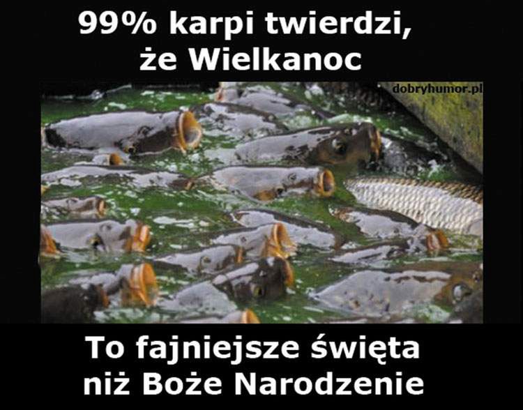 Memy Boże Narodzenie 