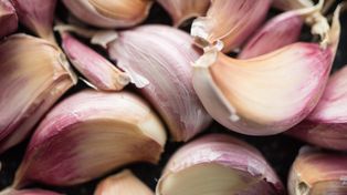 Oto naturalne antybiotyki. Tymi roślinami możesz wspomóc leczenie