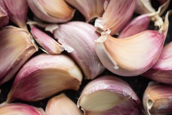 Oto naturalne antybiotyki. Tymi roślinami możesz wspomóc leczenie