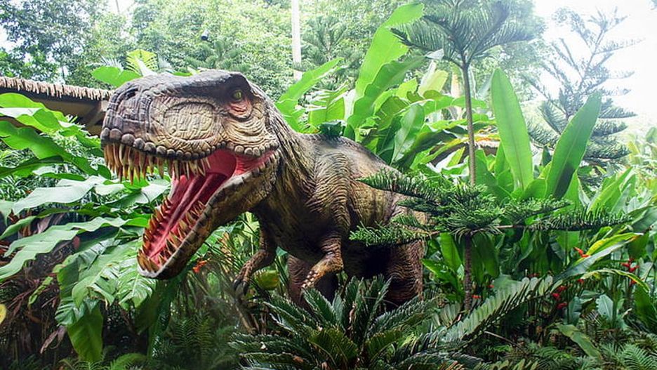 Dinozaury miały wpływ na długość życia ludzi?