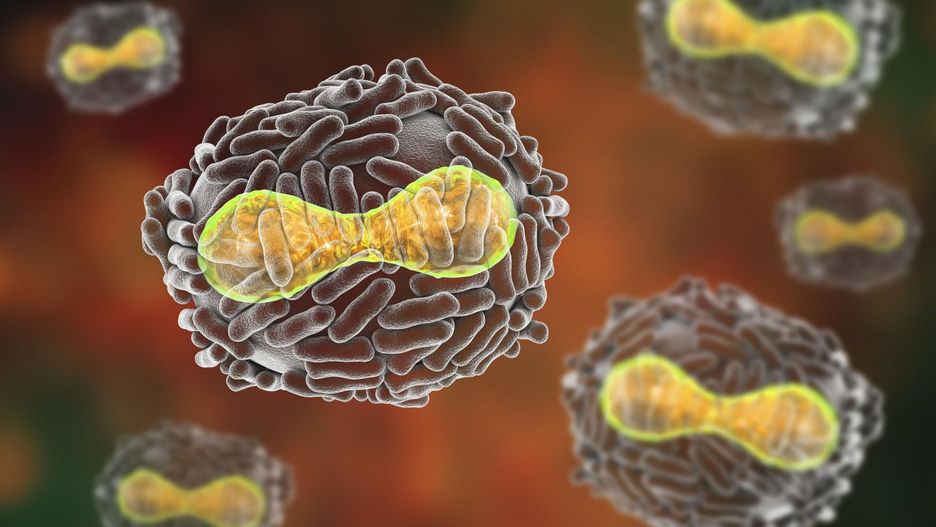 Alarm atopowy z ospą wietrzną