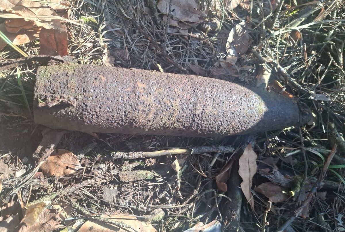 Niewybuch w polskim lesie. Policja reaguje