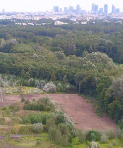 Warszawa. Trwa śledztwo ws. budowy przy rezerwacie Łosiowe Błota. Czekają na opinię biegłego