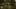 Red Dead Redemption 2, fot. r00krys / Xbox DVR