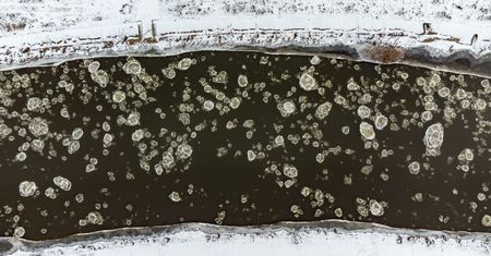 Na Warcie pojawił się śryż. Co to jest?