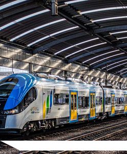 Śląsk. Ułatwienia dla pasażerów, Koleje Śląskie uruchomiły całodobową infolinię