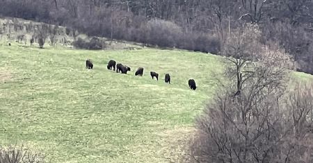 To nie fotomontaż. Tak wyglądają obecnie Bieszczady