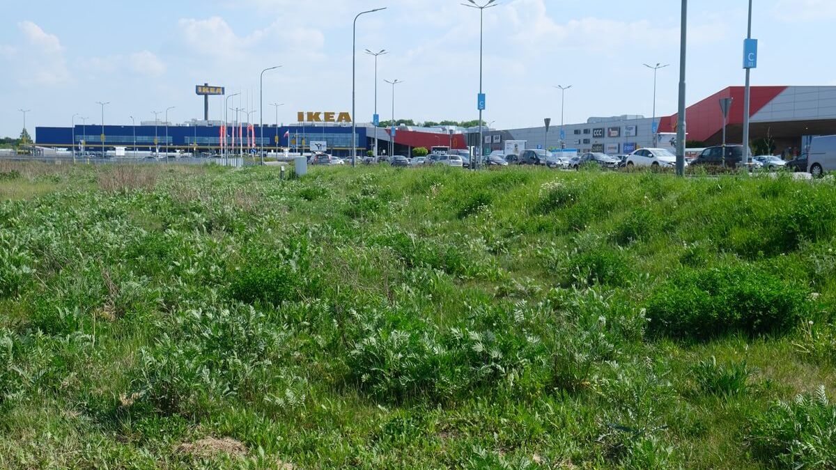 Na terenach zielonych przy Skende / Ikea powstanie park handlowy i dwie restauracje