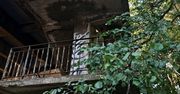 Sosnowiec: Czy estakadę na DK94 czeka "scenariusz chorzowski"?