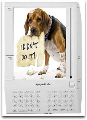Uczniowie pozwali Amazon, bo Kindle "zjadł" ich pracę domową 1