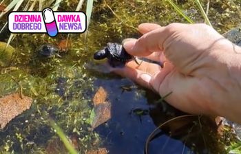 Tygodnie czekania i wielki finał. Leśnicy pokazali nagranie