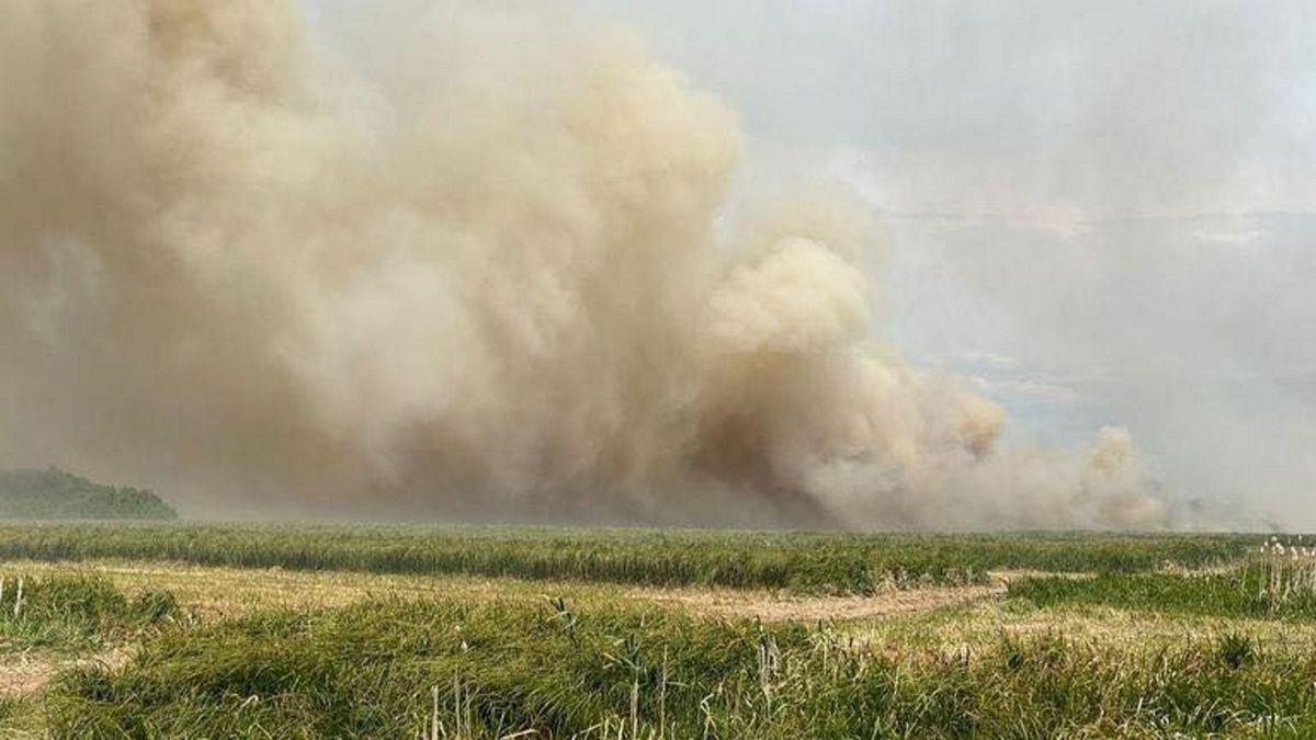 Na miejsce wysłano ok. 30 zastępów straży pożarnej