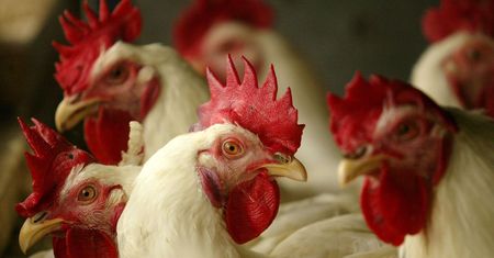 Koronawirus. Radykalny sposób na walkę ze zgromadzeniami