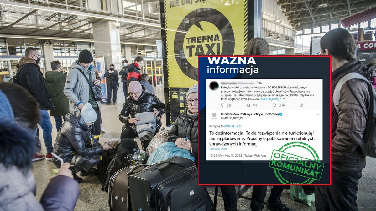 Mieszko Pietkamarzec 2022, Uchodźcy z Ukrainy w Warszawie