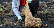 Rolnik pracował 41 lat. Tyle dostaje z KRUS-u